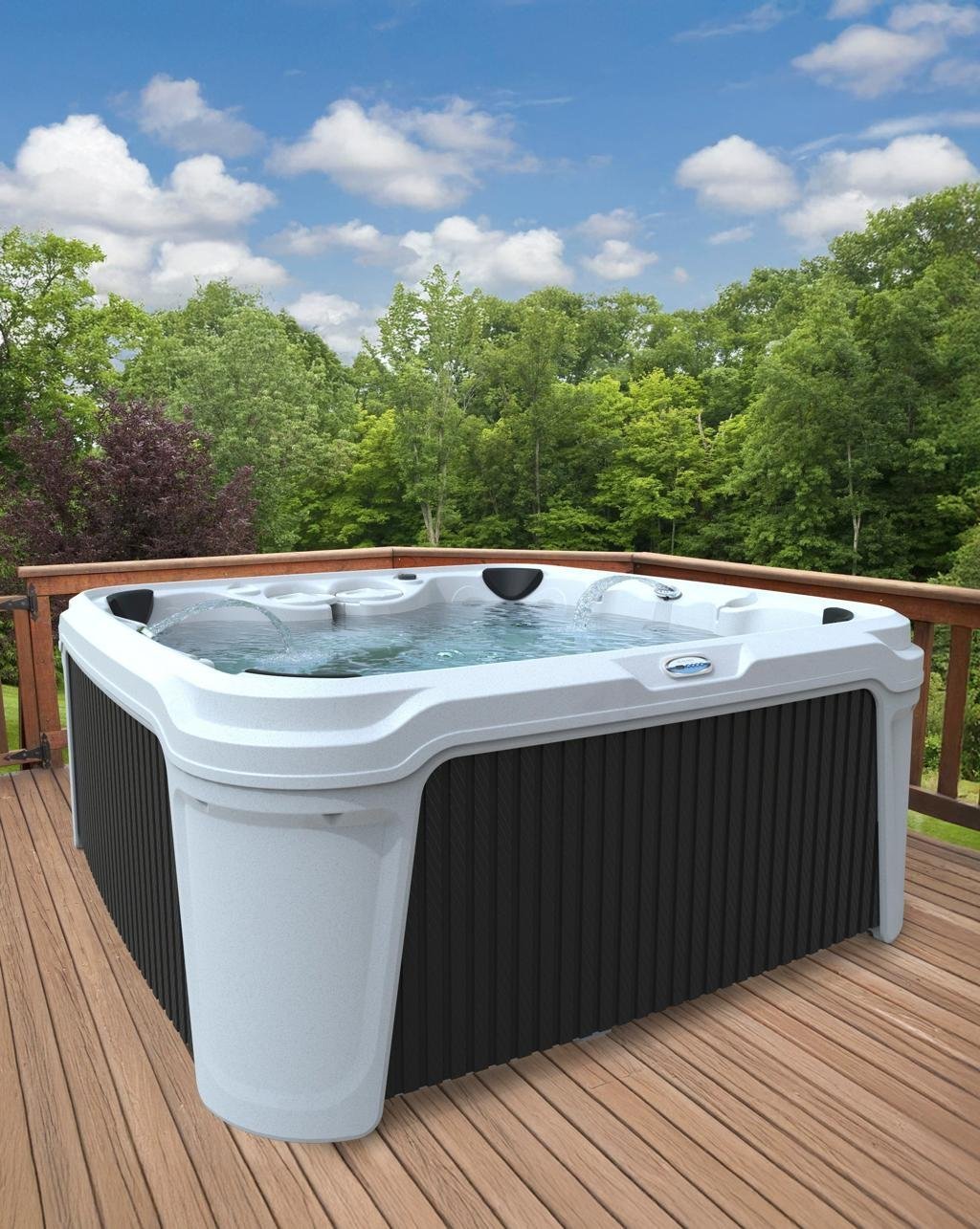 AquaRest DayDream 3500 35-Jet Plug & Play Hot Tub with Ozonator AquaRest Spas - Image 3